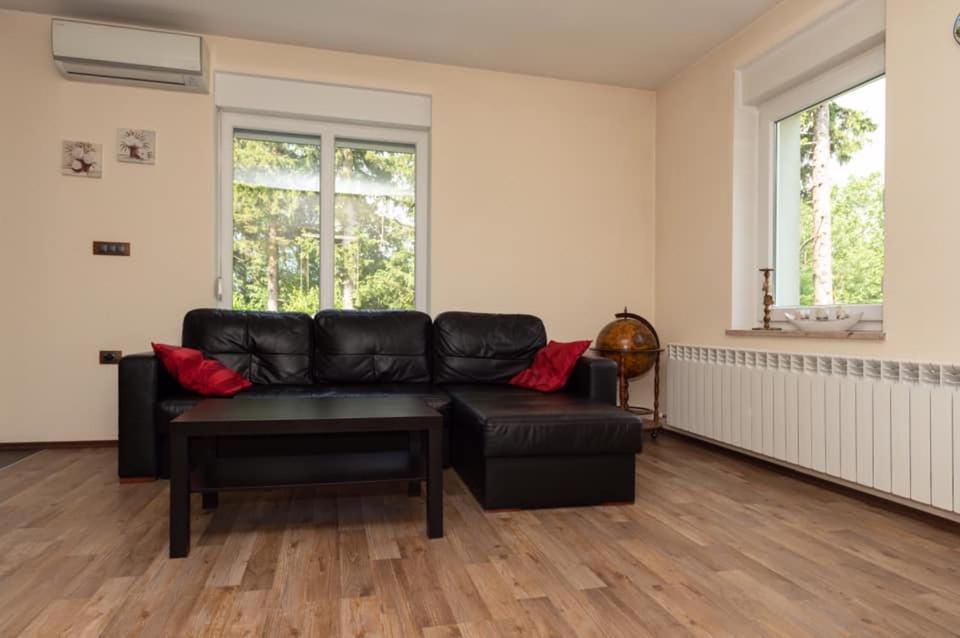Apartmaji Velikonja Айдовшчіна Екстер'єр фото