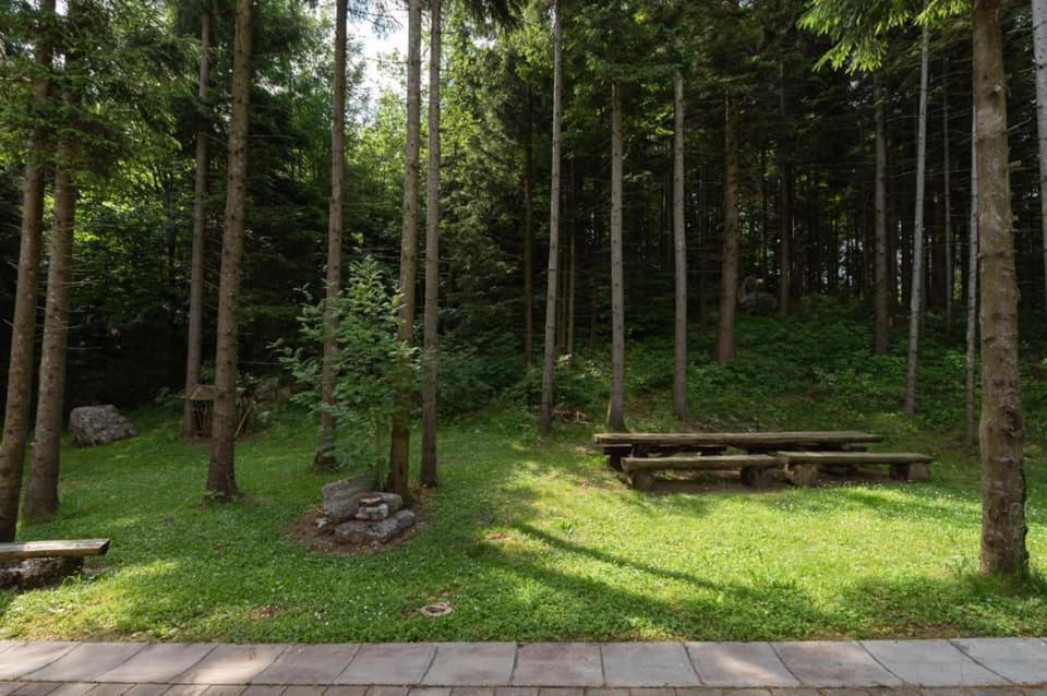 Apartmaji Velikonja Айдовшчіна Екстер'єр фото