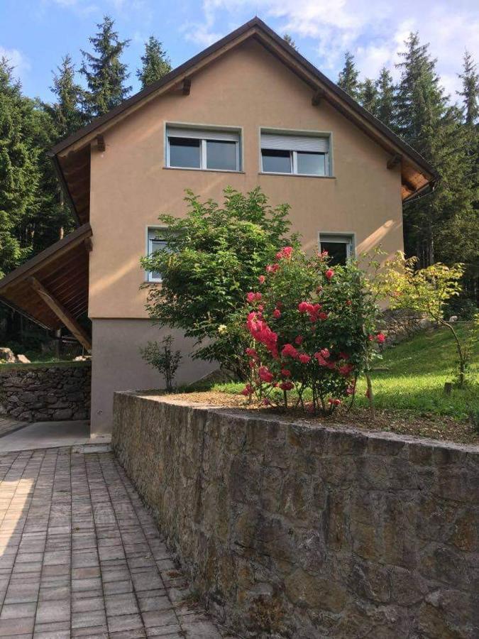 Apartmaji Velikonja Айдовшчіна Екстер'єр фото